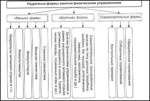 Курсовая работа по теме Неурочные формы занятий в физическом воспитании